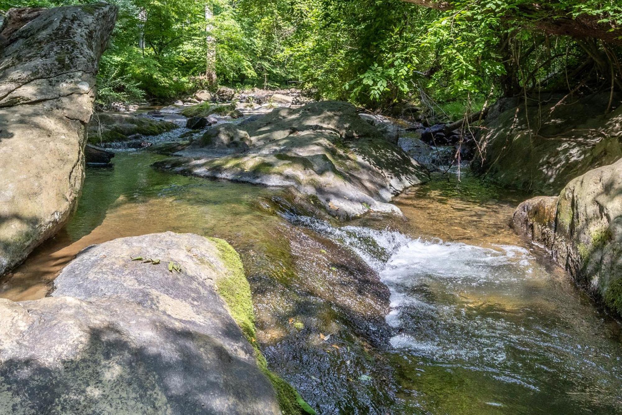 Bliss Point Farm And B&B, Llc Earlysville Bagian luar foto
