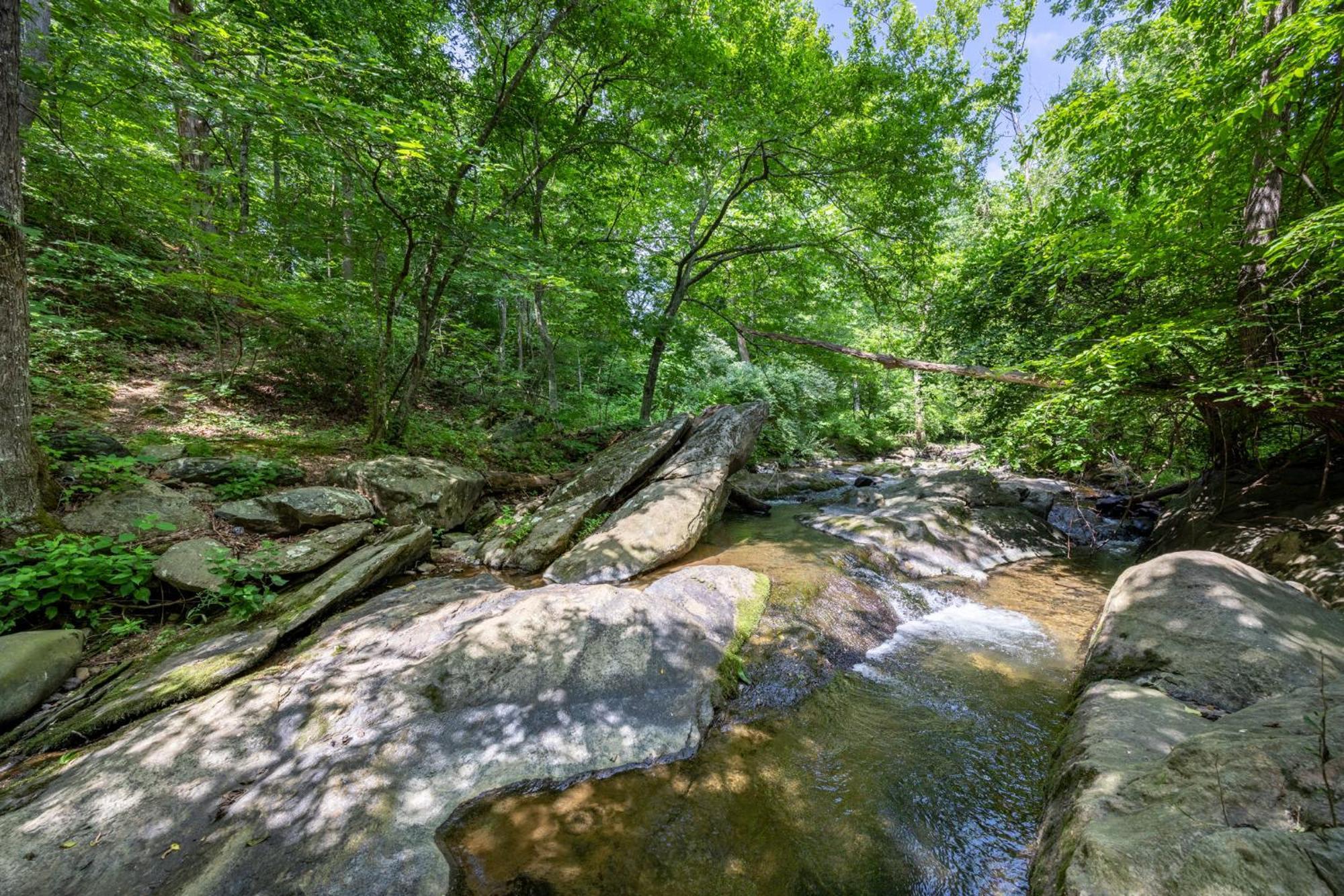 Bliss Point Farm And B&B, Llc Earlysville Bagian luar foto